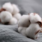 چگونه پنبه ساخته می شود و مزایای انتخاب آن